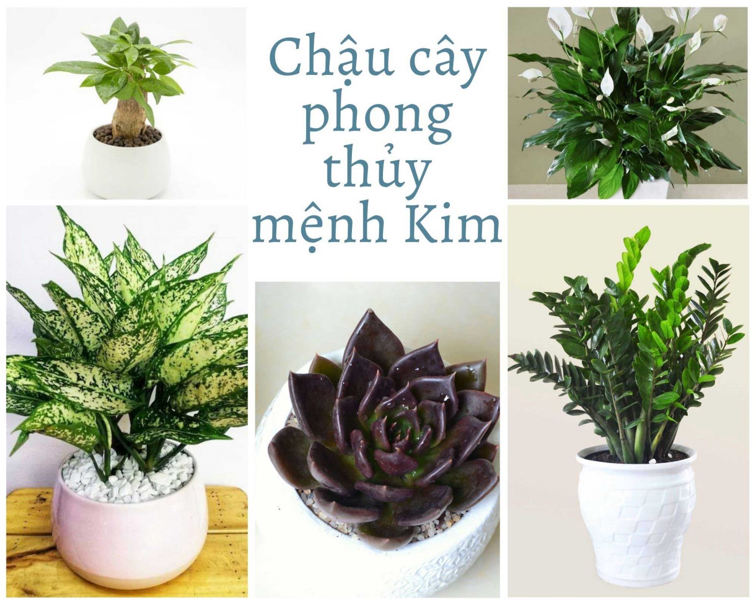 Tư Vấn Thiết Kế Nội Thất Cho Người Mệnh Kim Theo Phong Thủy